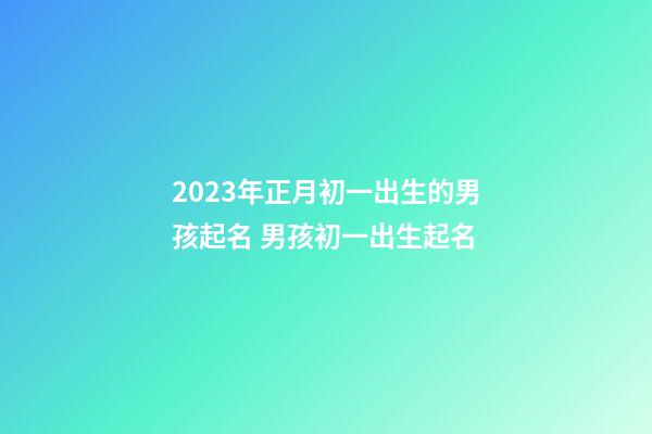 2023年正月初一出生的男孩起名 男孩初一出生起名